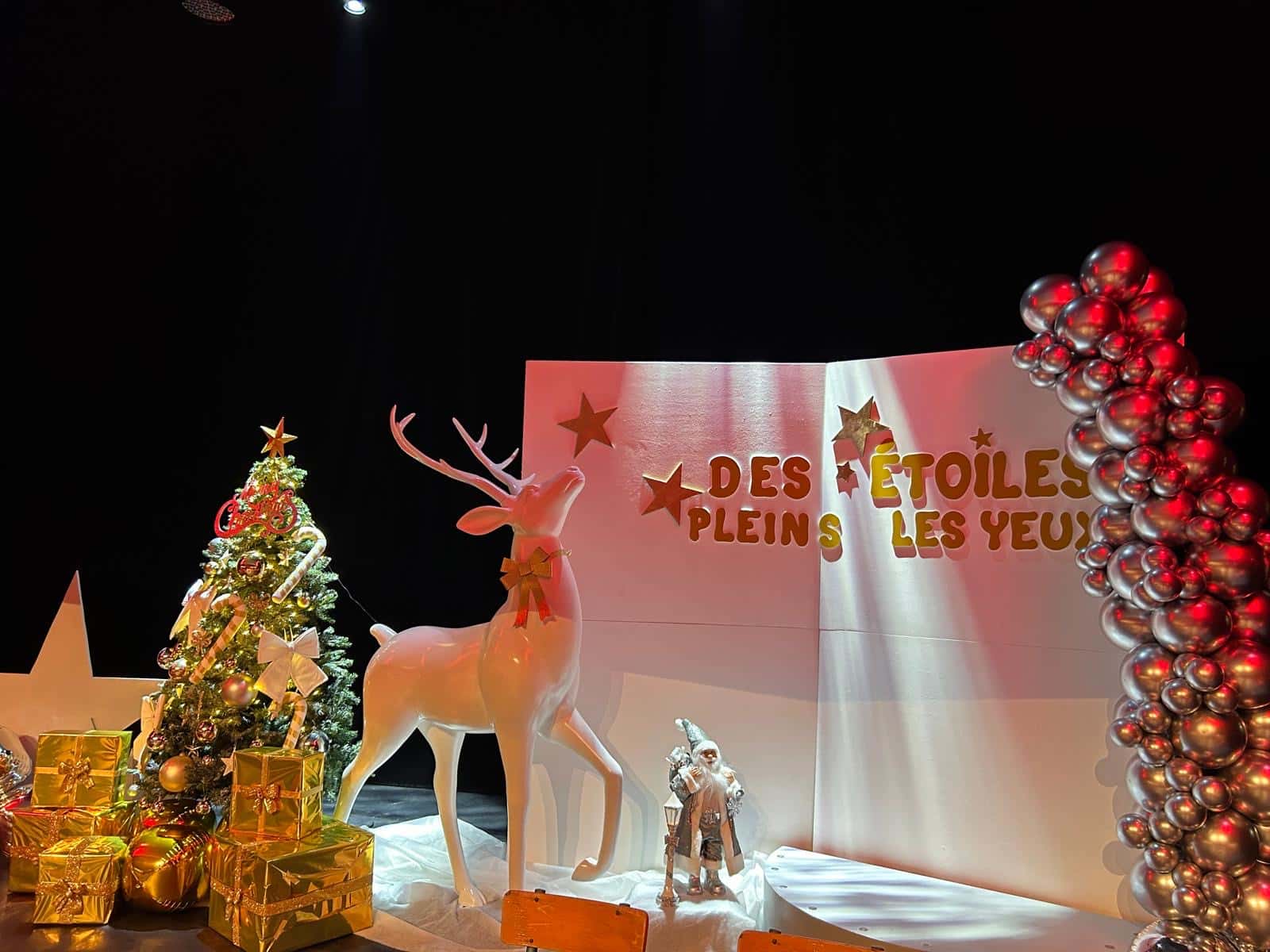 décoration féérique pour évènement pro